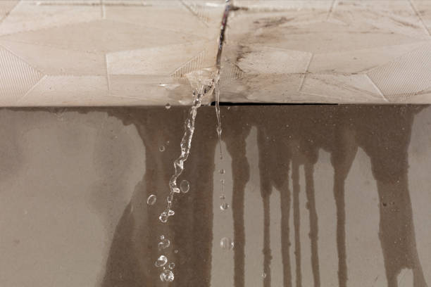 Professional Burst Pipe Cleanup technician working in Pasadena, TX